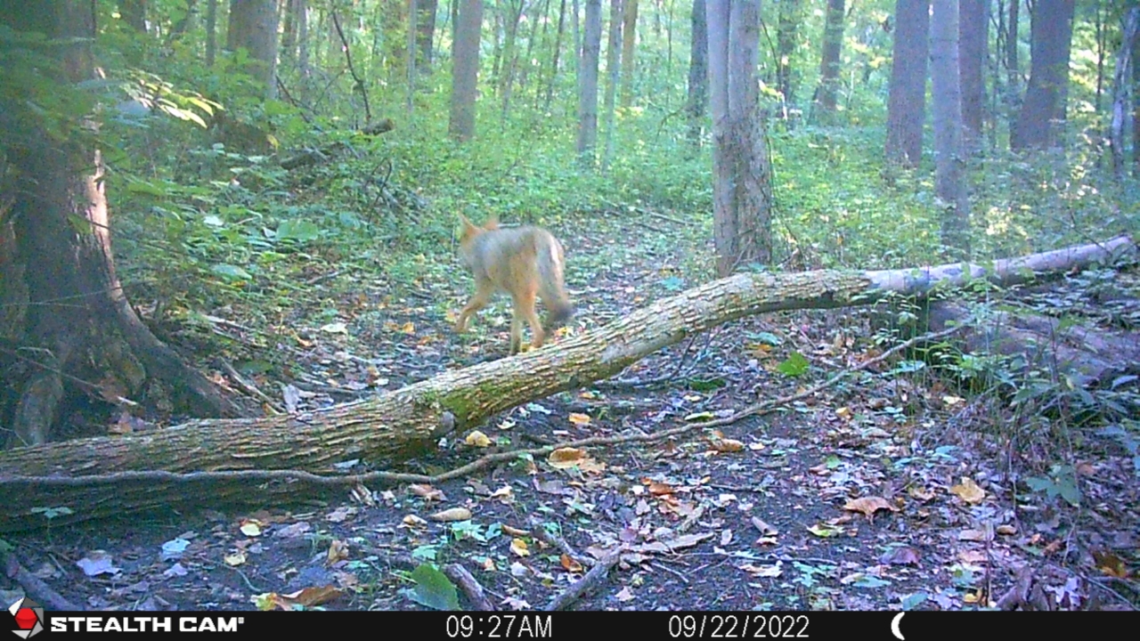 Resized_STC_0392_35685785767948