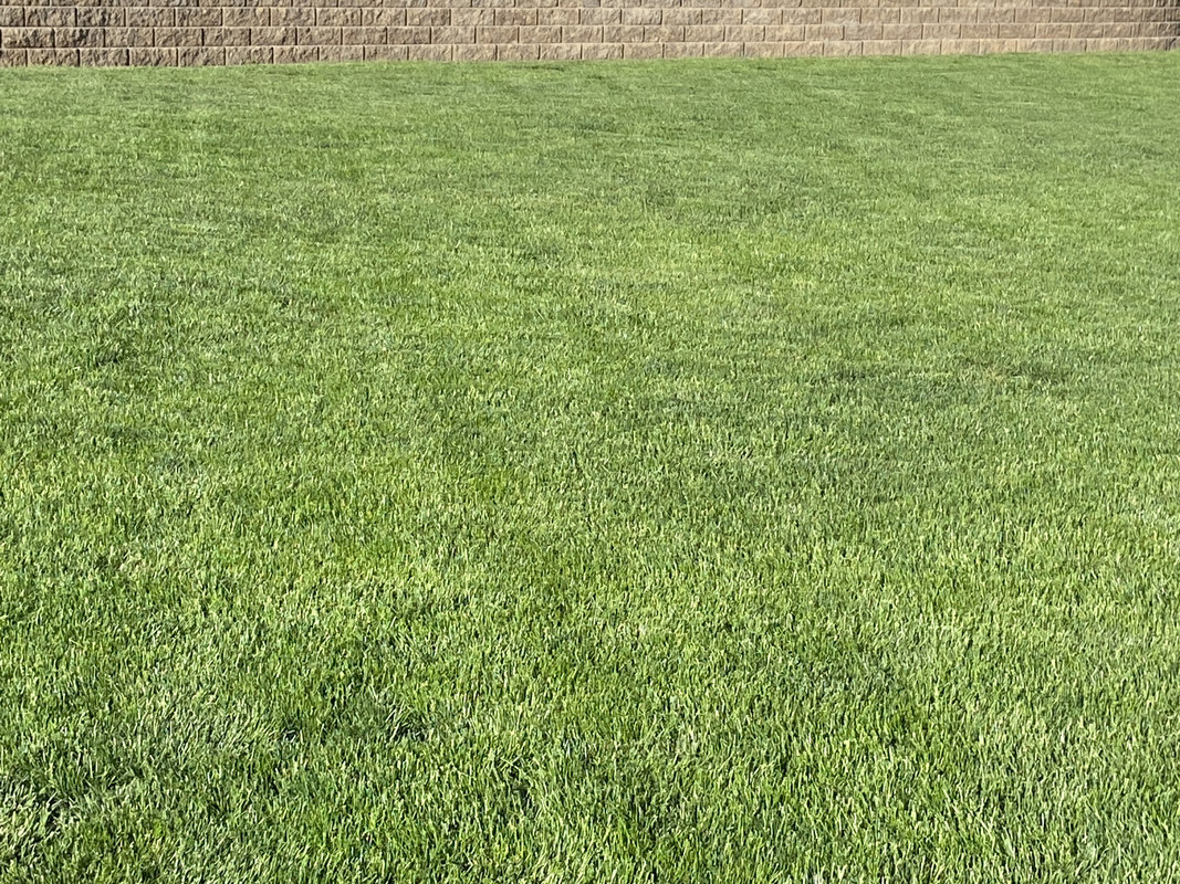 B99993D2-6572-4857-A124-A61D33E88A9D