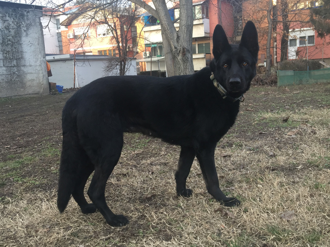 314F5DD9-1489-45E2-9AA6-6C53535A061E