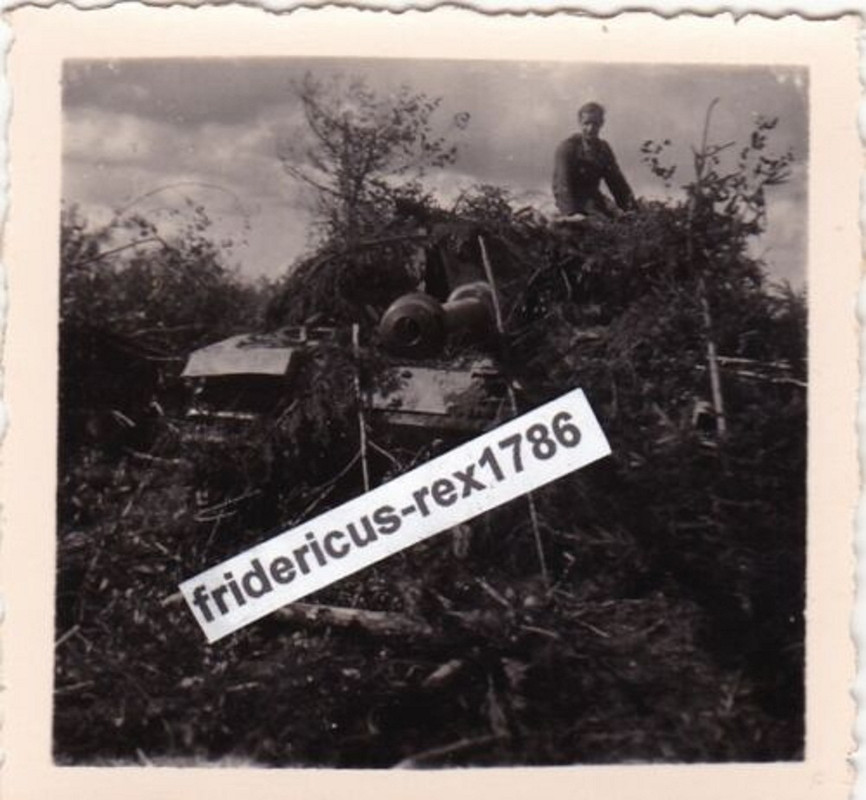 Foto StuG Sturmgeschütz - Abt 10. Frundsberg1
