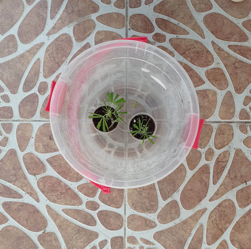 331591836_500247305614720_4069287159872947710_n