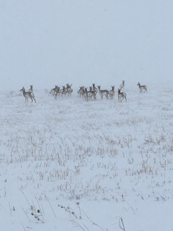 4A313758-AE86-465F-9DA7-1362DACEED06