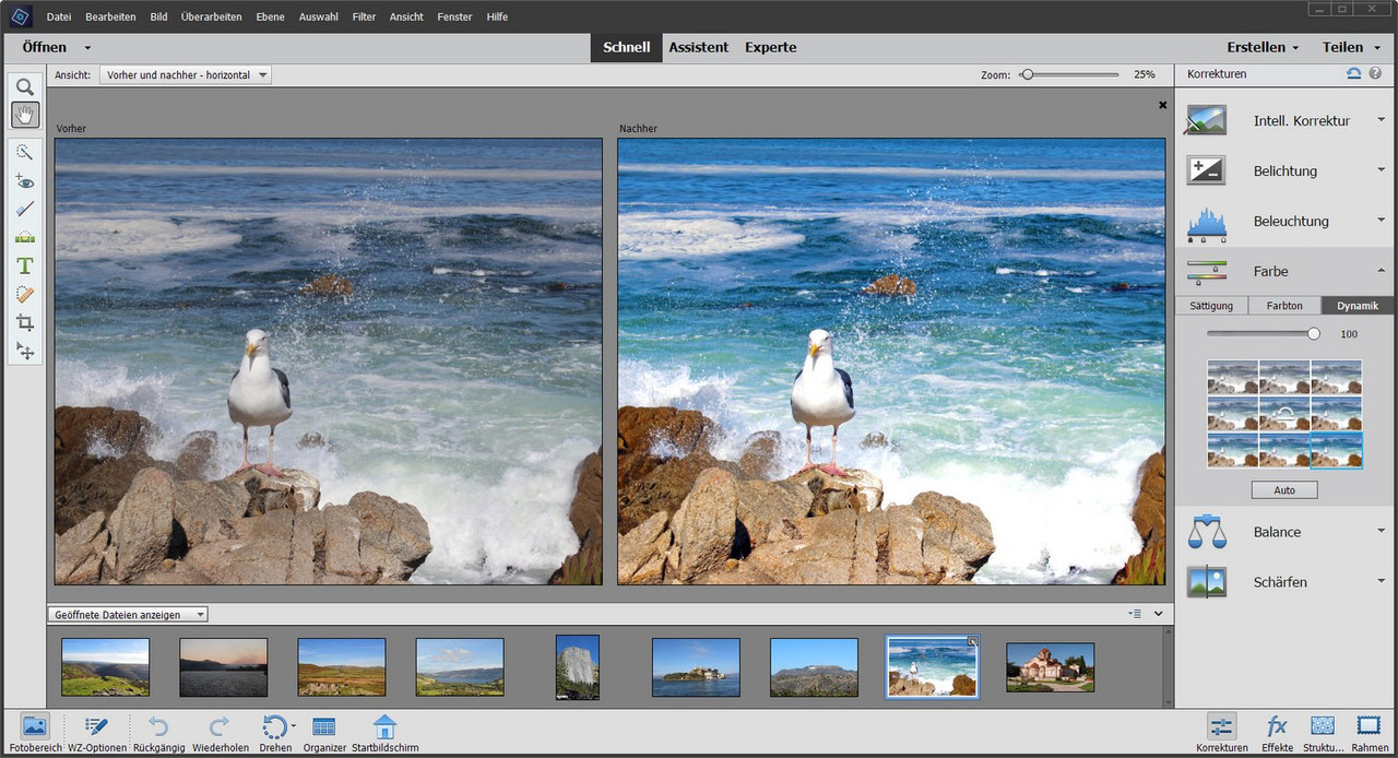Adobe-Photoshop-Elements-screen.jpg