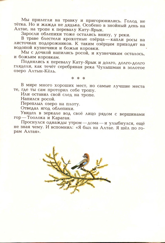 Goryshin-Gleb-Na-altajskoj-trope-222354-32