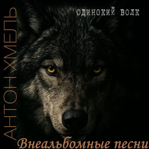 Хмель Антон - Одинокий волк (Внеальбомные песни) 2026(128) Хмель Антон - Одинокий волк (Внеальбомные песни) 2026(128)