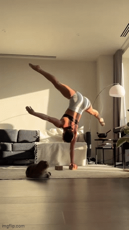 IMG-1947.gif