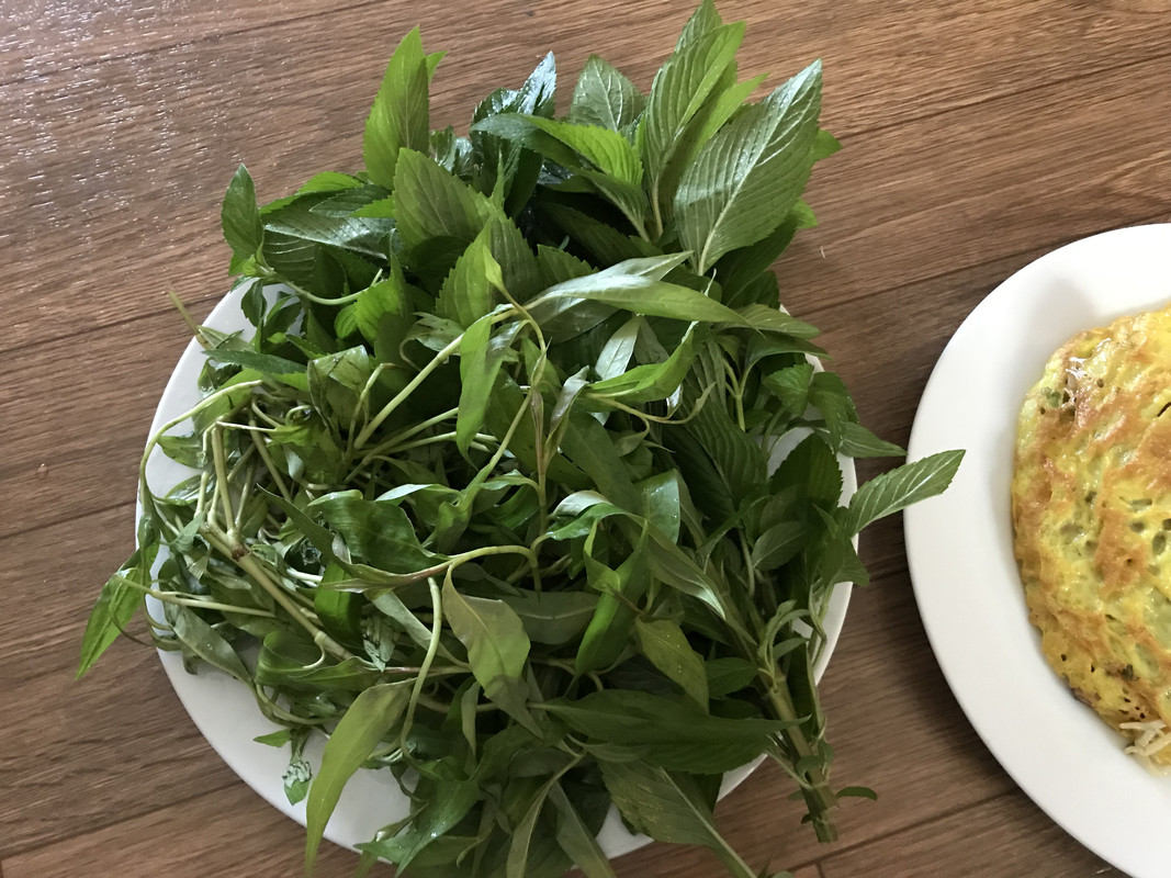 6F08B3E2-4E09-473E-8D0A-53F285EC2C43