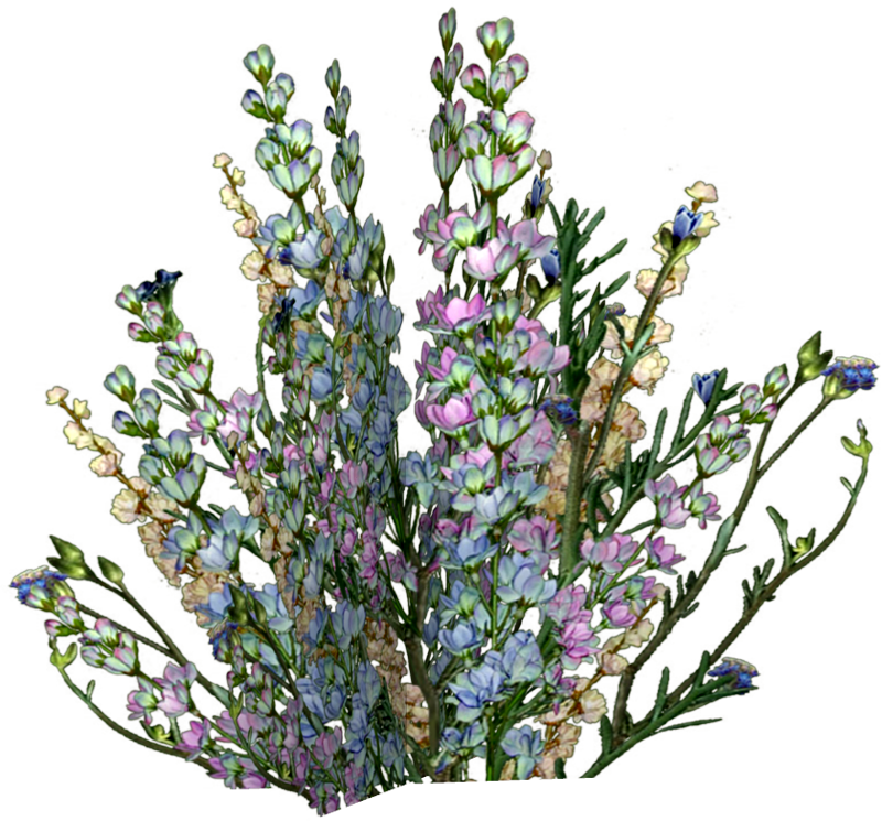 Alice In Wonderland (153)