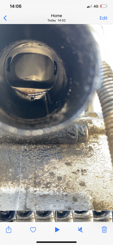 F8404953-27D5-4B9D-9599-F423560A1664