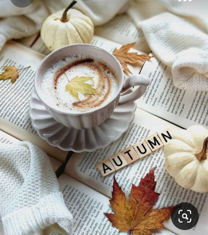 Screenshot_20231008_223106_Pinterest