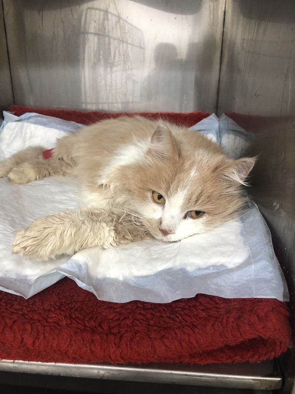 в стацике 091019_4