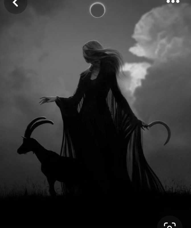 Screenshot_20240121_212818_Pinterest