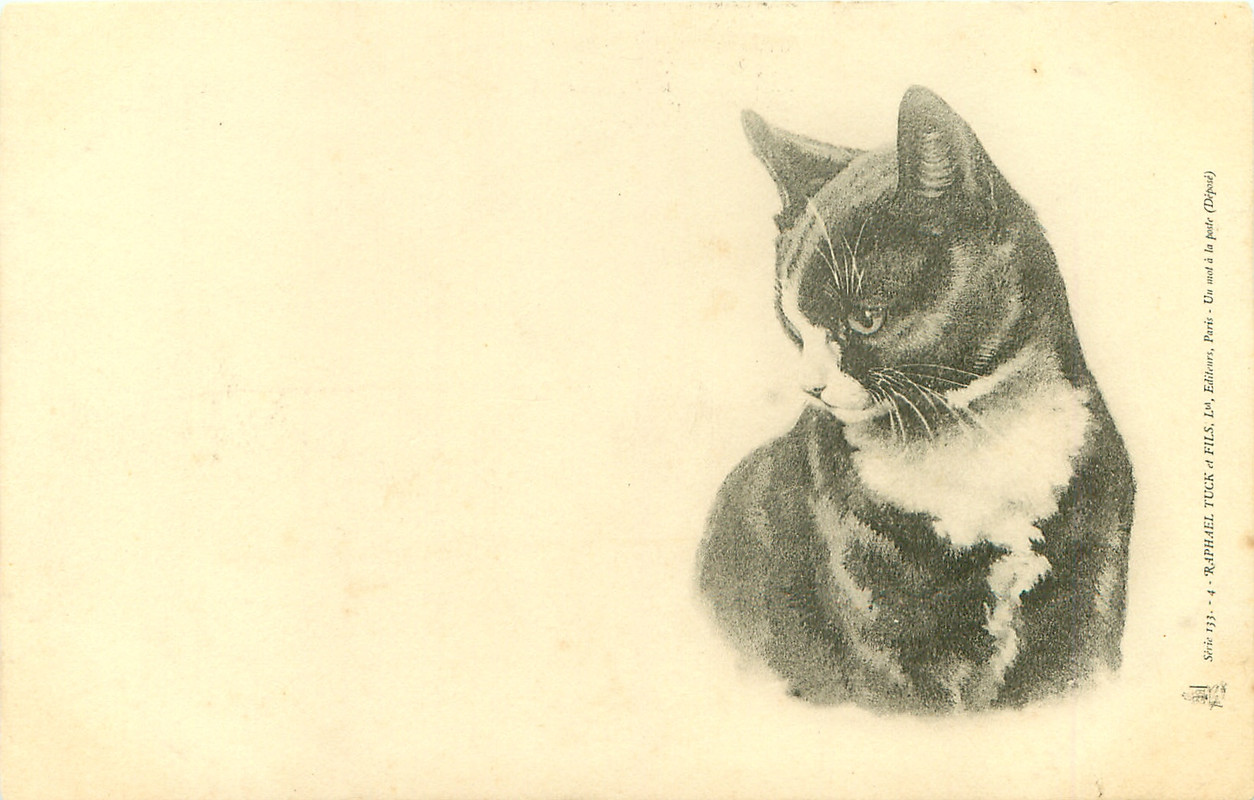 28-2011-05-30-16-39-22