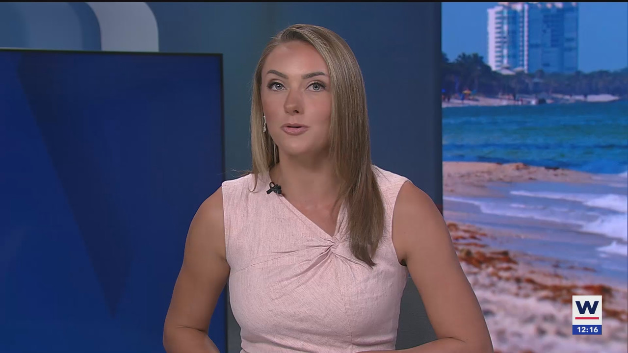 08.13 - 17.00.00 - The WINK Noon News  ᴺᵉʷ. Midday news update..ts_snapshot_22.16.055