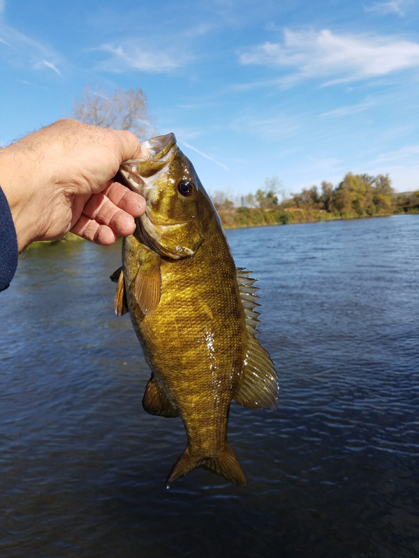 20191013_144540