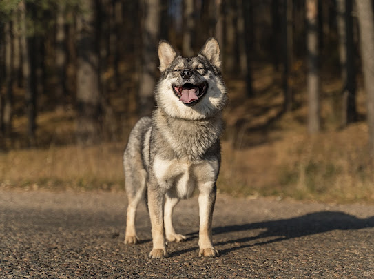 изображение_viber_2022-01-10_11-24-50-347