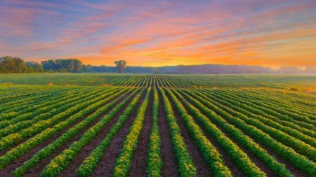 Farming Business Customer Service Farming Business Customer Service