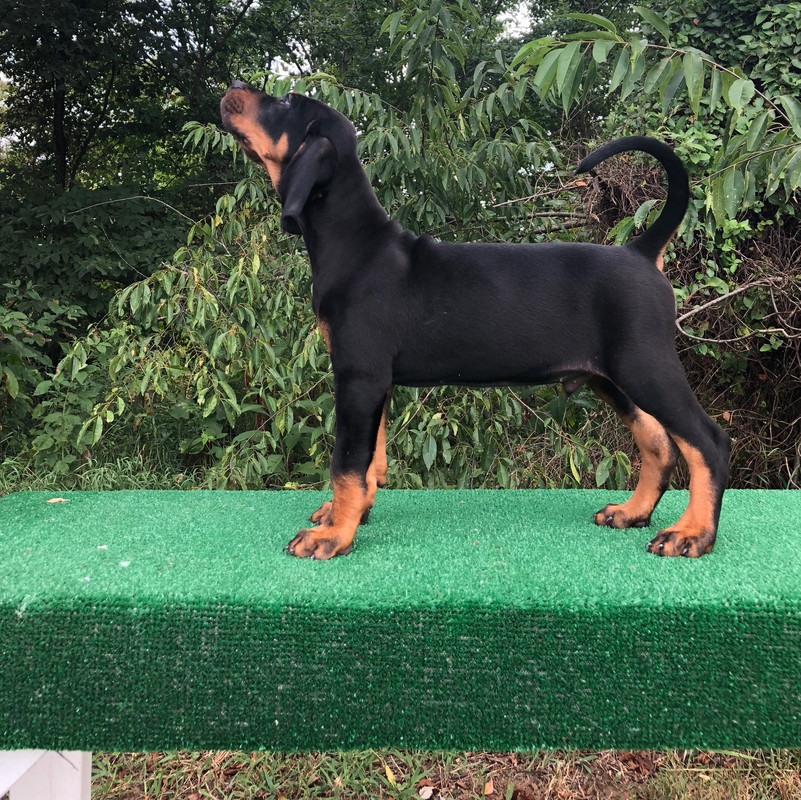 2859F119-4D1F-4ADD-87BE-6A6D72B4AD35