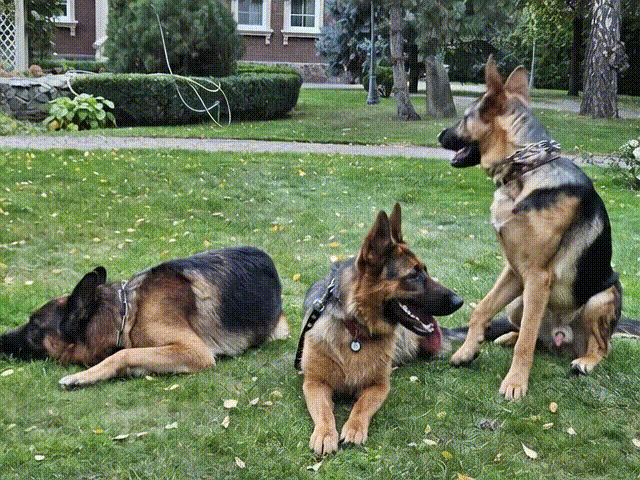 [Image: rtrt.gif]