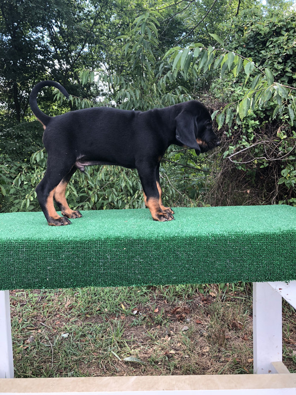 97AFBDAF-C30B-4250-B4EA-58A66157C10C