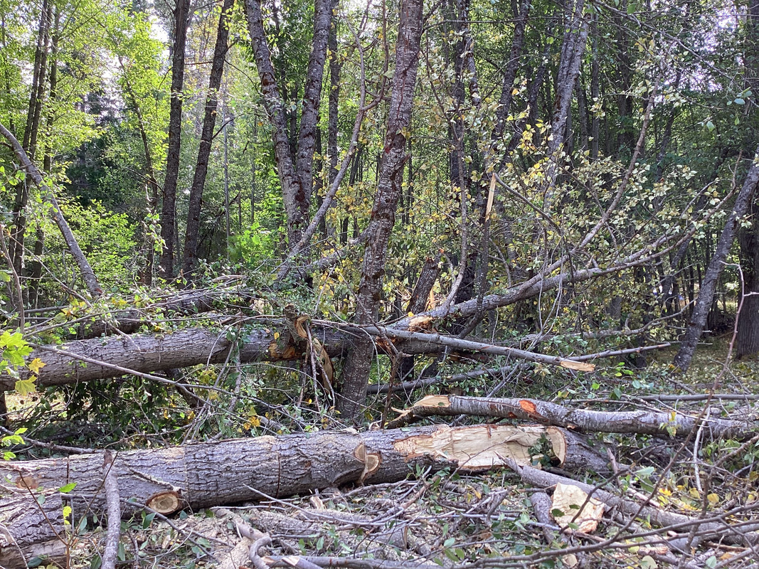 ECD149CE-202E-480E-A246-DADE722579EC