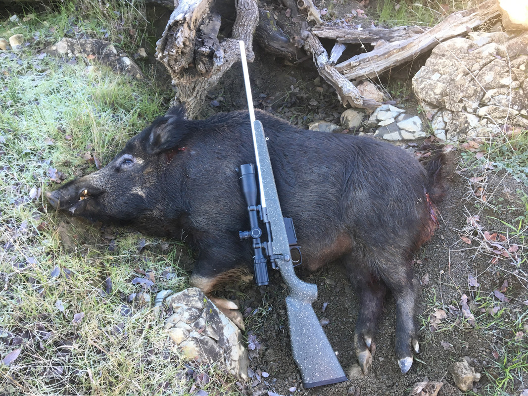 F2317F78-6EF5-4E92-8536-59DA2B27DBCE