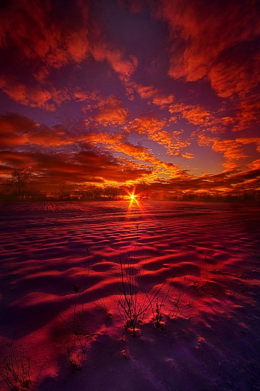 rednightlandscape.jpg