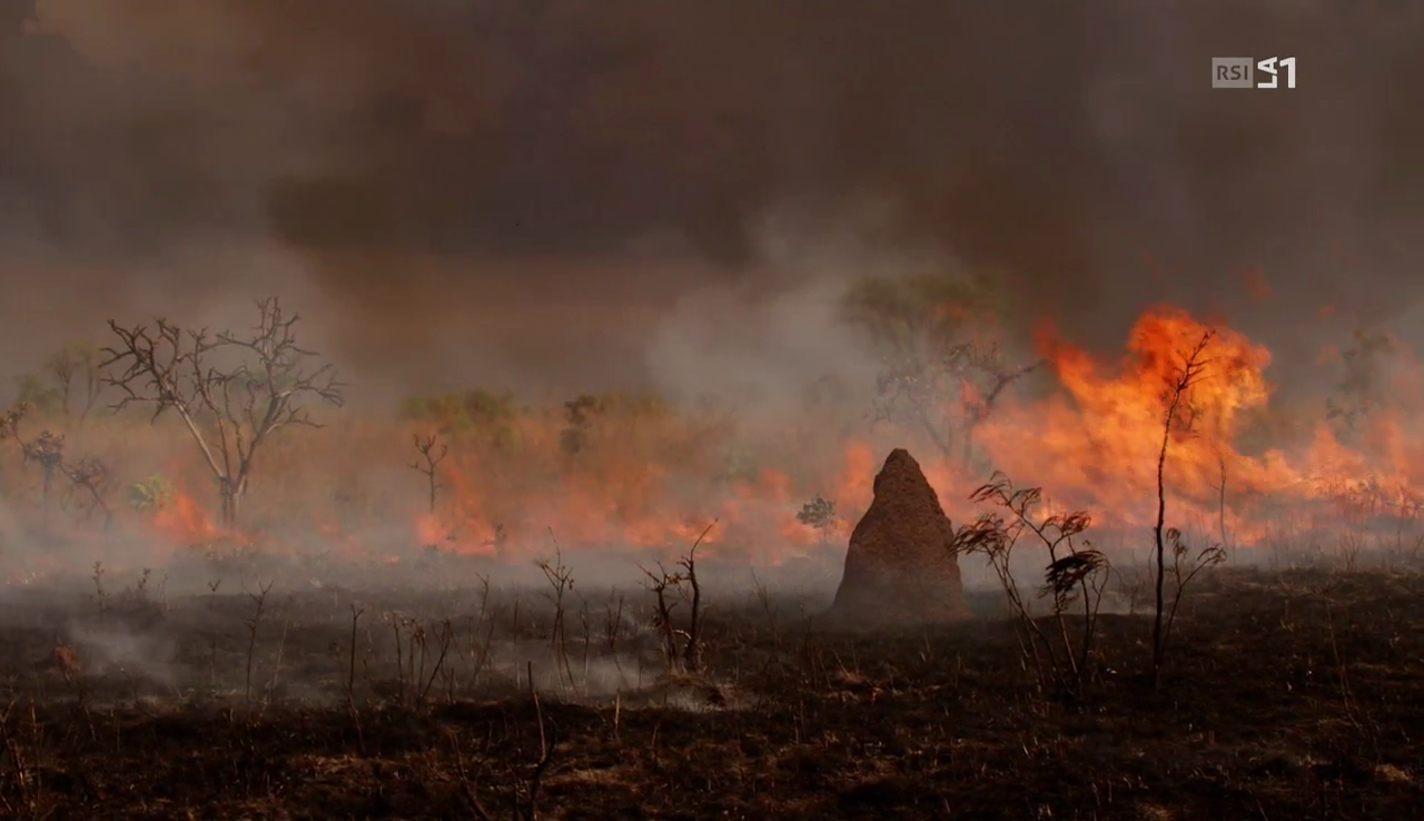 vlcsnap-2016-12-12-12h07m17s916