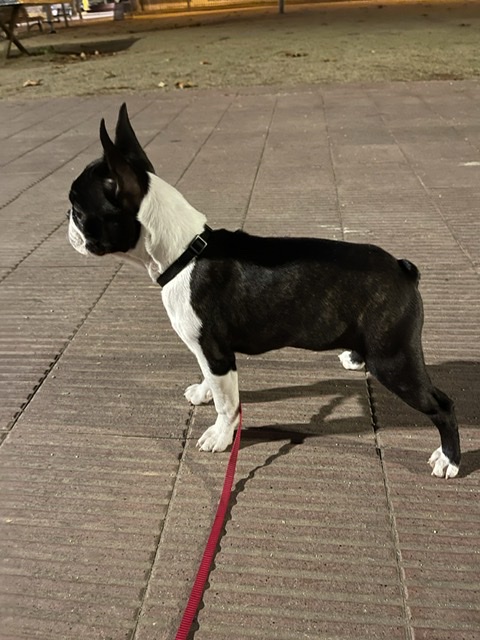 DA38957E-DA3C-4E33-893D-6F4886996EAB