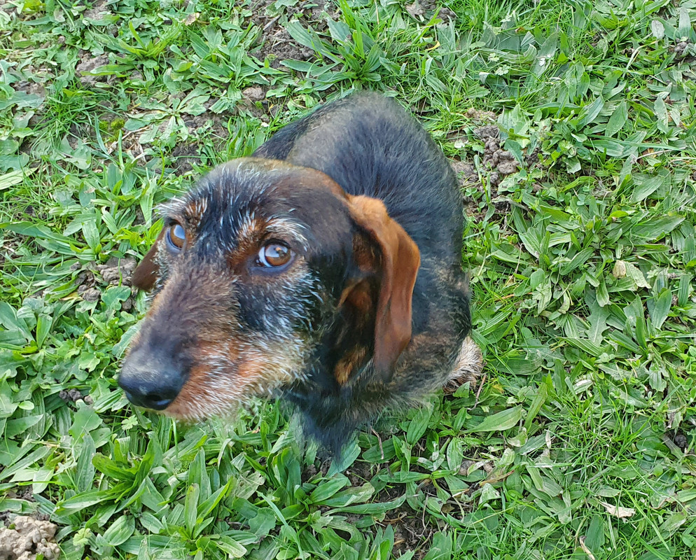 [Image: 20221125-162803.jpg]