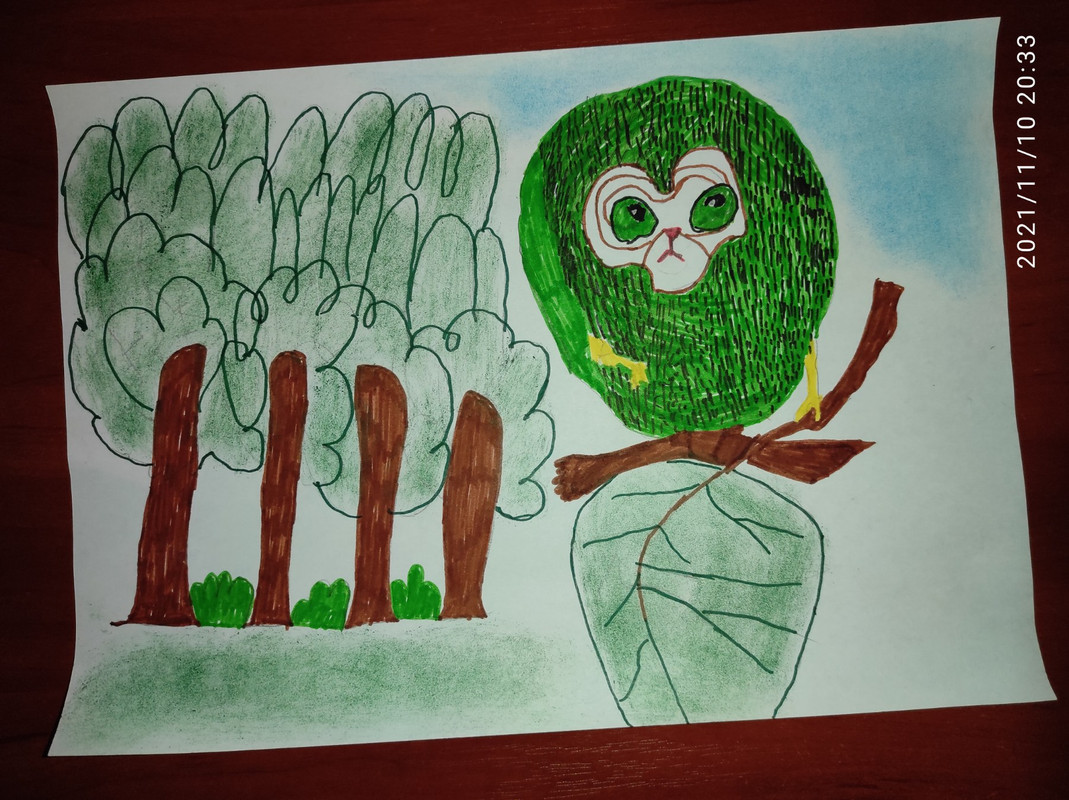 НЕЧИПУРЕНКО_viber_2021-11-10_20-35-03-131