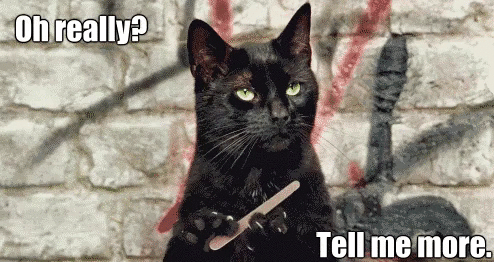Image result for Sunday cat gifs 2019