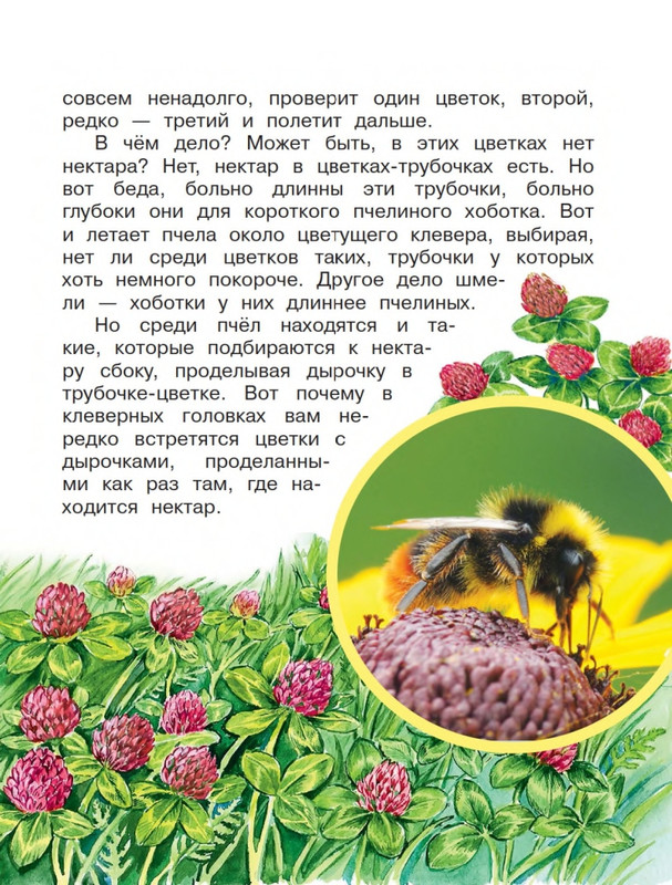Onegov-Anatolij-Pochemu-kukushka-slozki-lot-page-0026