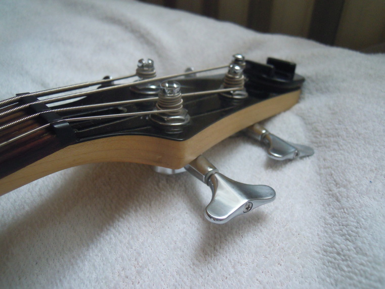 Ibanez SRX 300 5