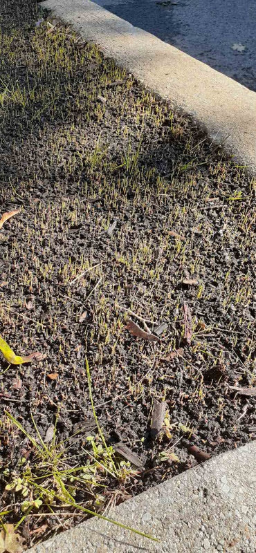 IMG-efcbc92001cda14322cc399793266bd3-V