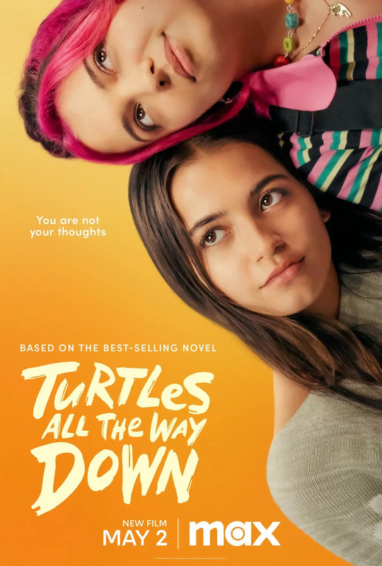 Turtles All the Way Down poster image