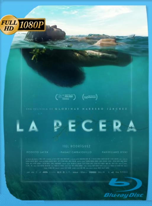 La Pecera (2023) WEB-DL HD 1080p Latino [GoogleDrive]