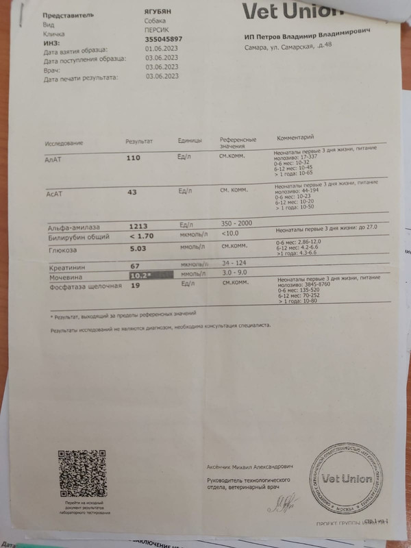 54c737ec-9f40-43c8-967a-9b40bed198df