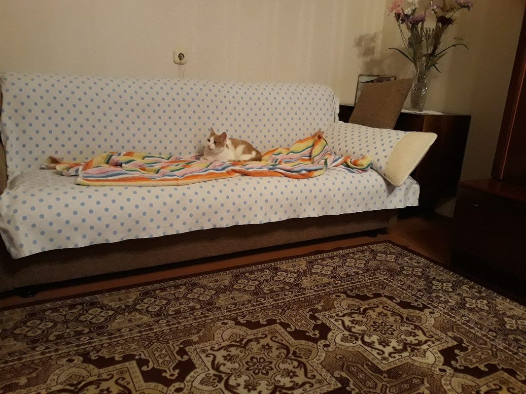 Буся у НВ3 — Postimages