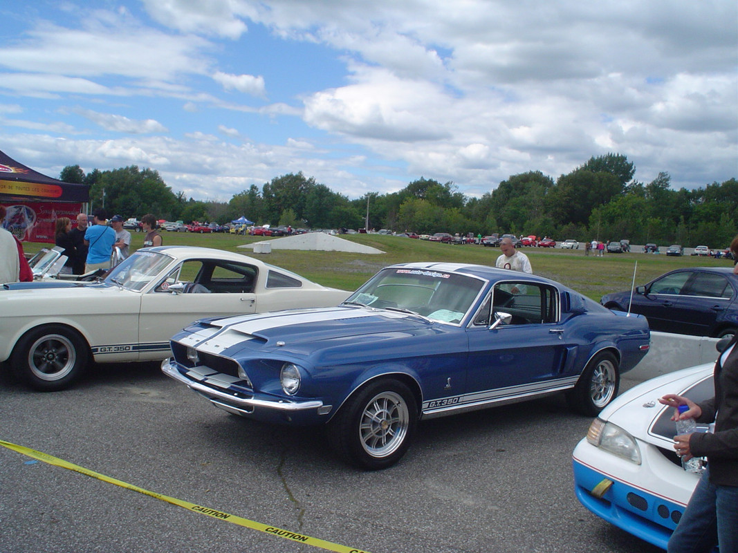 Montréal Mustang dans le temps! 1981 à aujourd'hui (Histoire en photos) - Page 15 DSC07022