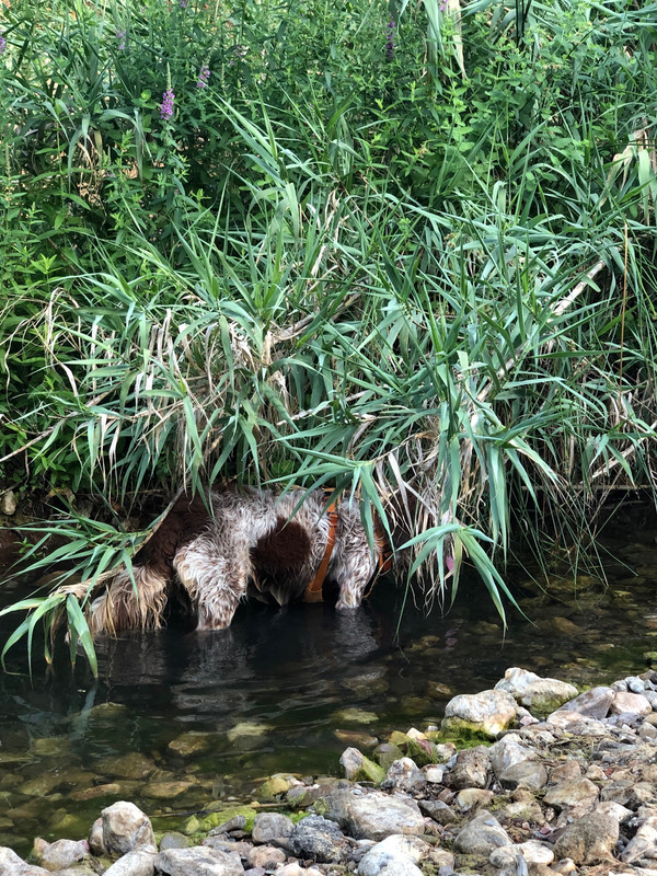 D6F59F9B-1B15-4AD6-A3AC-5D1C3B3E518E