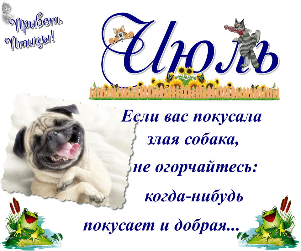 https://i.postimg.cc/x1sBmK2Q/23-07.png
