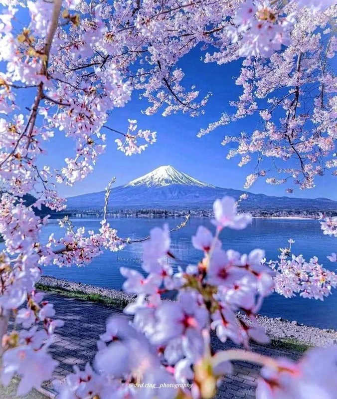 Screenshot_20240423_215014_Threads