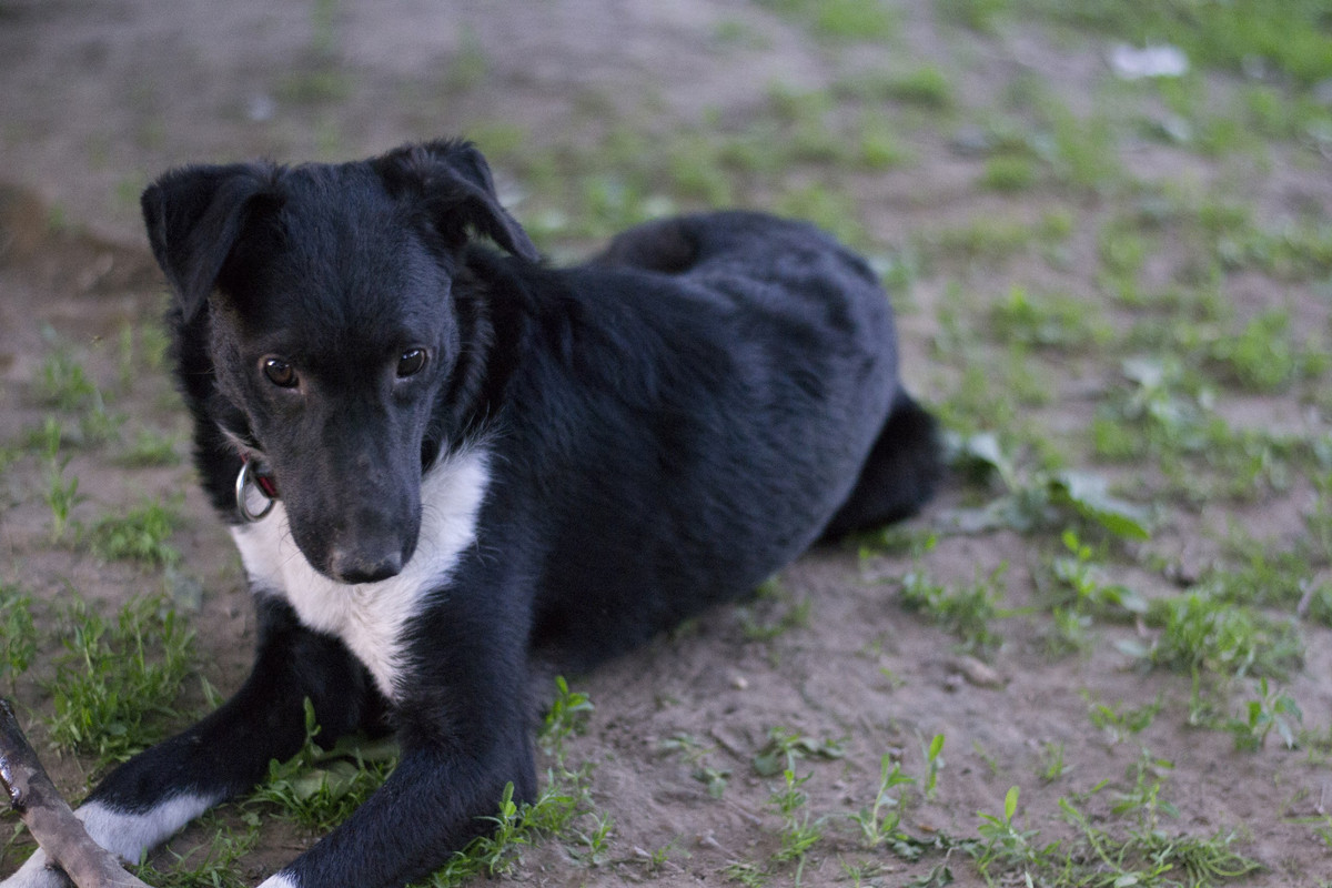 Дакота_06_18_24