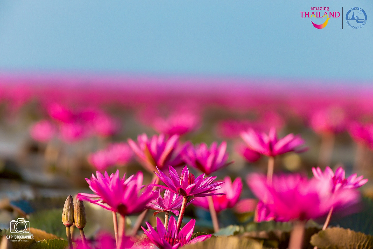 a1f430b9-ed30-4fd2-ac11-10b4375f9f67-0