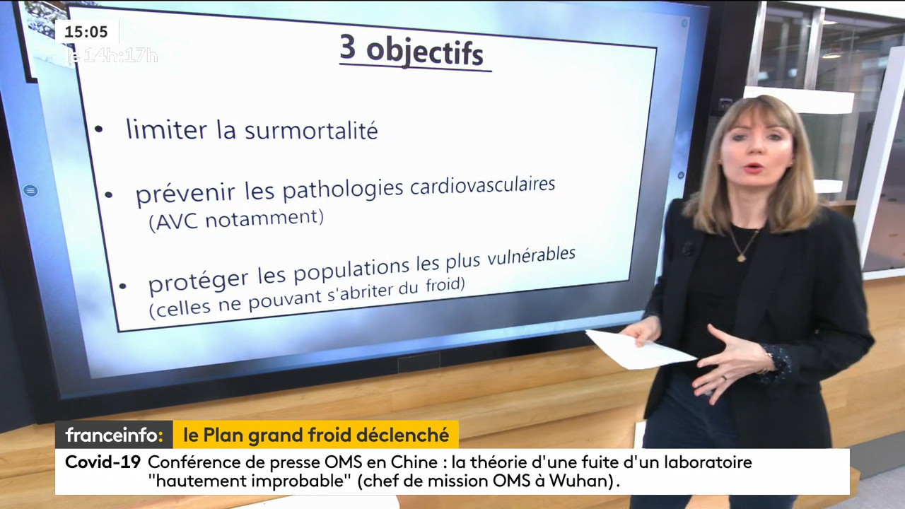 02.09 - 12.59.00 - Le 14h-17h. Au sommaire   Vrai ou fake. - francein..._001.ts_snapshot_00.27.209