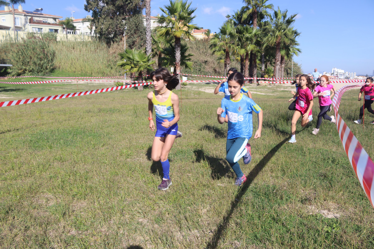 IMG-4171