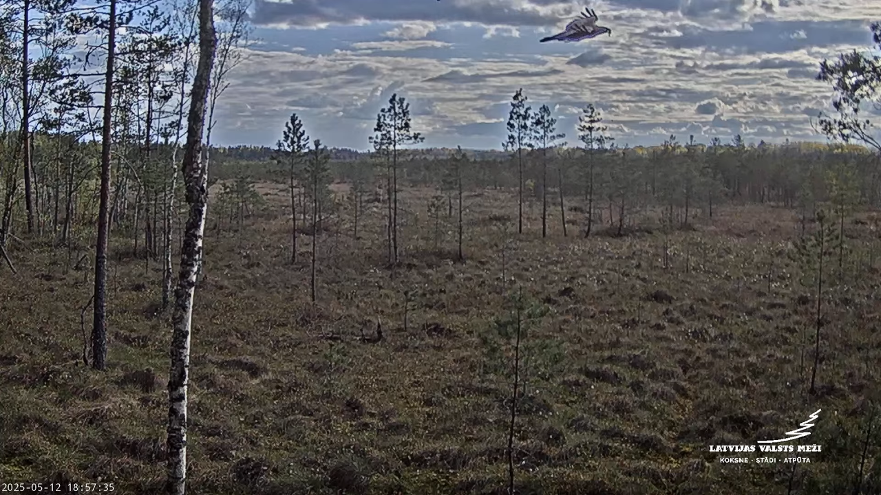 LVM Purvs - Bog 15-17-44 screenshot (1)