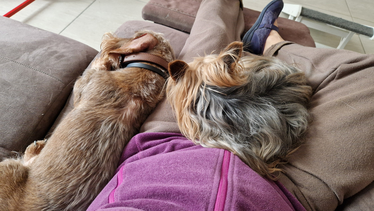 [Image: 1000023627.jpg]