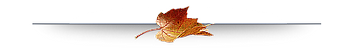 160649061-5840010-158676421-razdelitel-1
